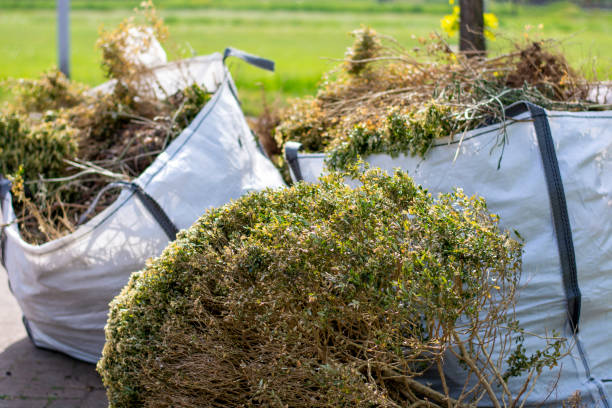 Best Shed Removal  in Lexington, MI