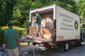 Best Recycling Services for Junk  in Lexington, MI